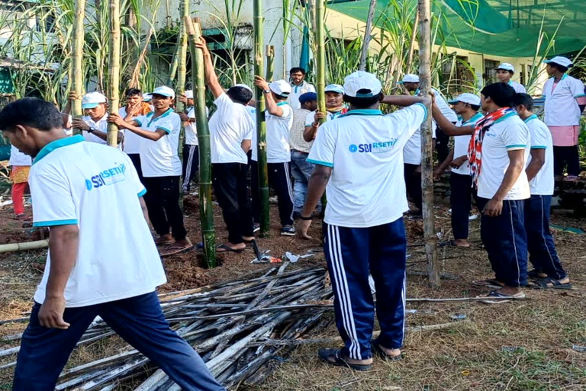 CG News: आत्मसमर्पित नक्सलियों ने थामी तरक्की की डोर, 32 पूर्व माओवादियों ने सीखा कुक्कुटपालन और बकरी पालन