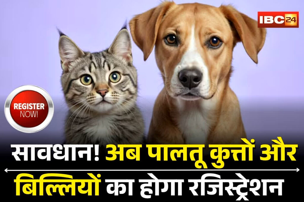 Gwalior News, Gwalior pet registration rule, Gwalior dog registration fees, Gwalior cat license process, Gwalior municipal corporation pets, Pet license Gwalior 2025, Gwalior dog cat fine, Gwalior pet registration drive, Gwalior animal control rules, Gwalior dog owner penalty, Gwalior pet policy update, Gwalior municipal dog rules, Gwalior cat registration law, Gwalior pet owners registration, Dog cat license Gwalior, Gwalior MCG pet drive