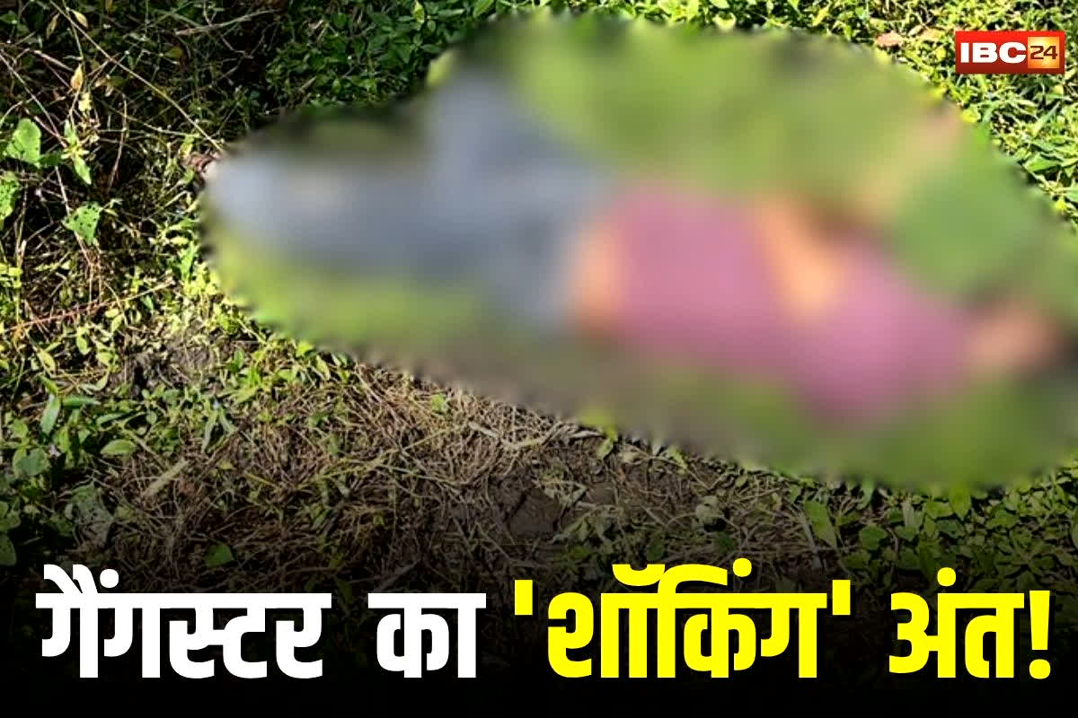 Indore News: दिल्ली का गैंग, यूपी के रामकथा में वारदात… फिर MP में हुआ चौंकाने वाला अंत, बदमाश की फिल्मी कहानी जान रह जाएंगे हैरान