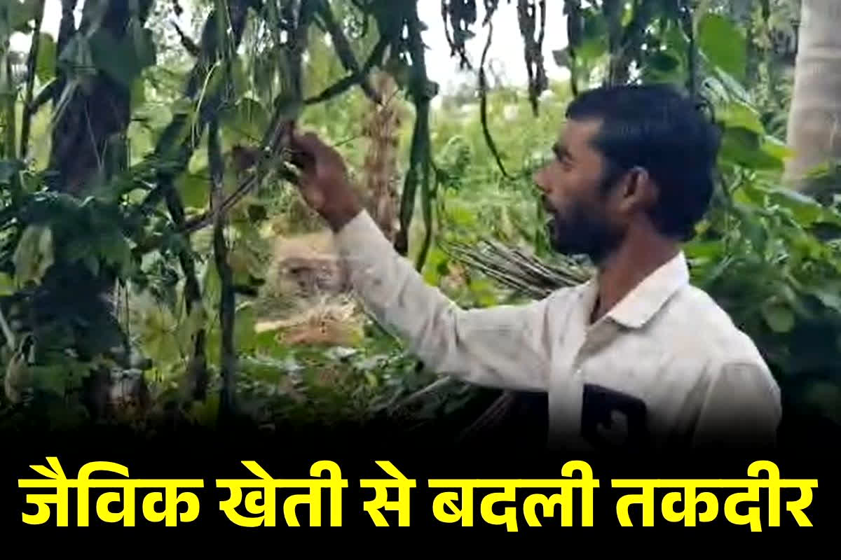 Dhamtari News: छत्तीसगढ़ के इस युवा किसान की बड़ी उपलब्धि… जैविक खेती से बदली तकदीर! राज्योत्सव में होगा ‘डॉ. खूबचंद बघेल’ पुरस्कार से सम्मान