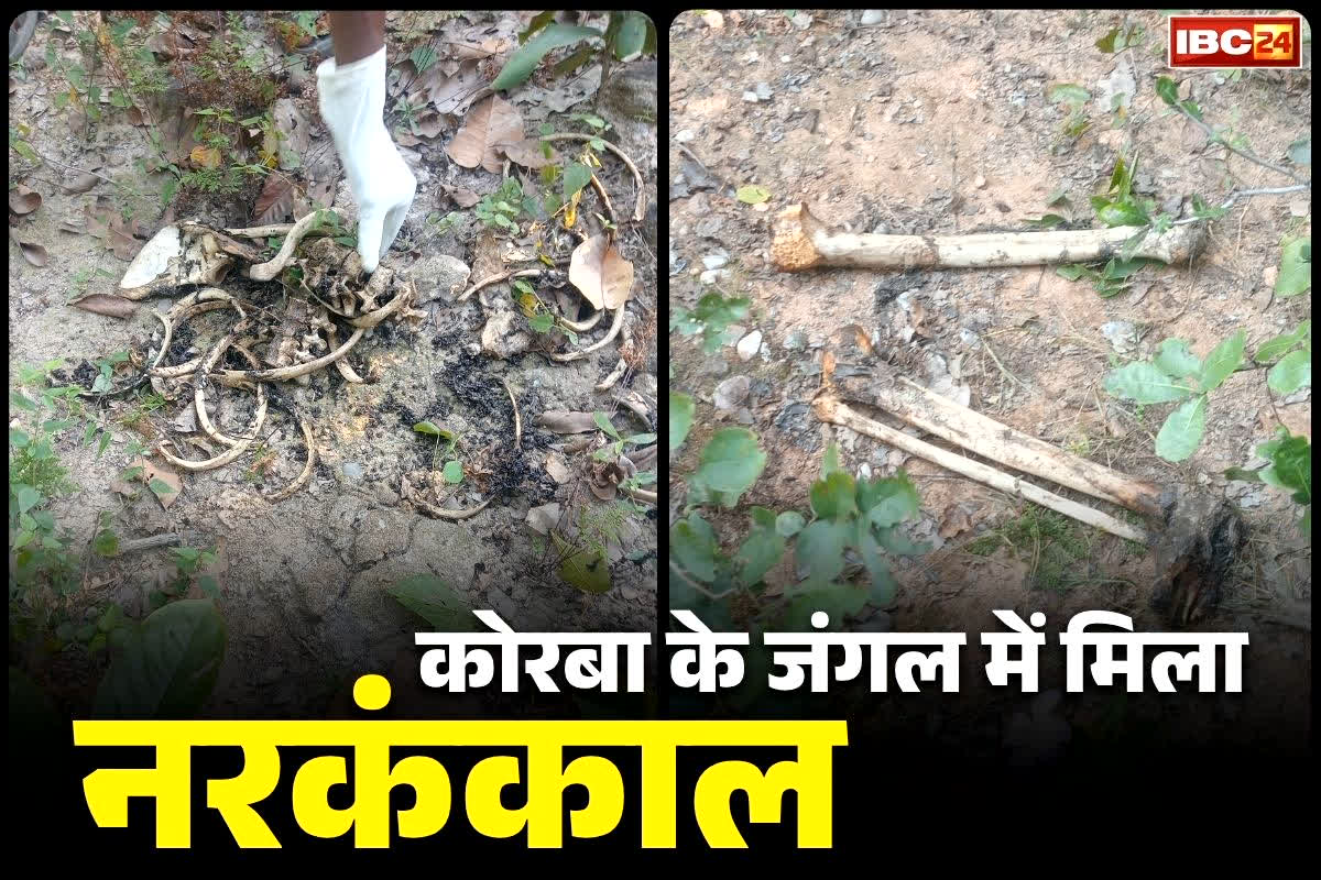 Korba Crime News: कोरबा के इस बीहड़ इलाके में महीने भर से लापता शख्स का मिला कंकाल.. कपड़ो के आधार पर हुई पहचान, जानें कब से था गुमशुदा