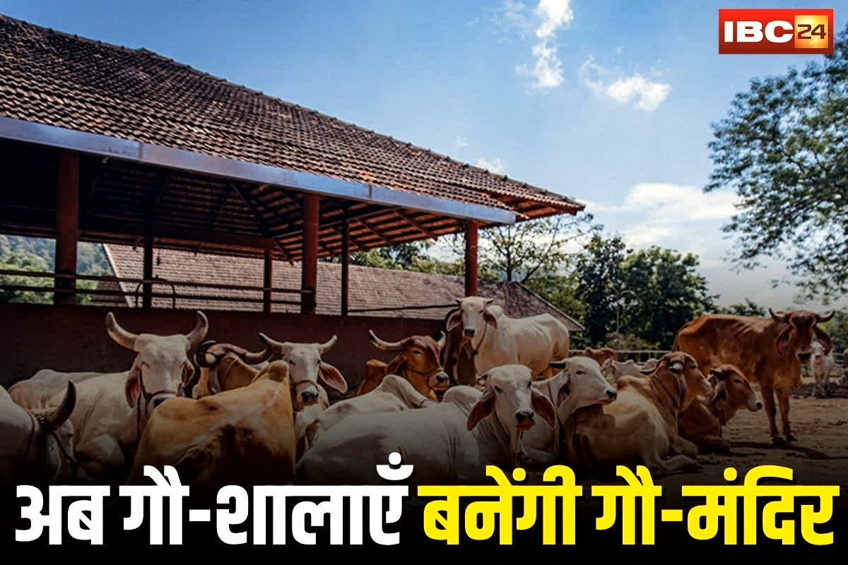 MP News: अब गौ-शालाएँ बनेंगी गौ-मंदिर! गोवर्धन पूजन पर मुख्यमंत्री ने किया बड़ा ऐलान, किसानों को मिलेगा अतिरिक्त बोनस