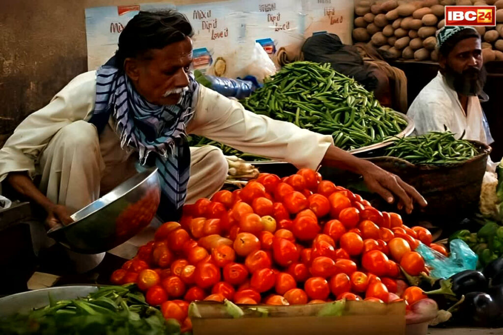 Pakistan Tomato Price Today