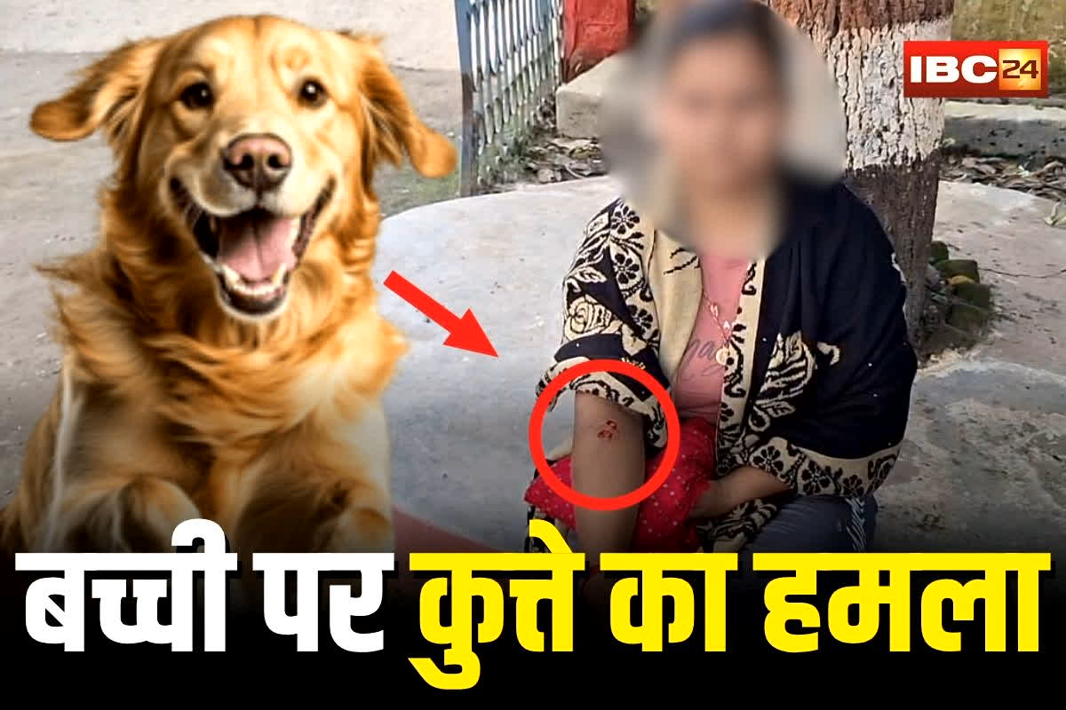 Pathalgaon News:  मासूम बच्ची पर पालतू कुत्ते का खौफनाक हमला, मॉर्निंग वॉक पर निकली थी फिर जो हुआ देख कांप उठे लोग, गांव में मचा हड़कंप