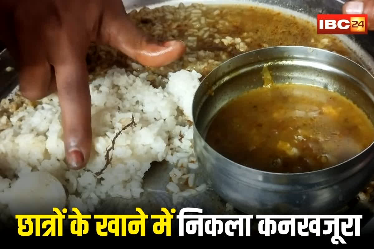 Rewa News: स्कूल में छात्रों के खाने में निकला कनखजूरा, शिकायत करने पर शिक्षिका ने दी टीसी की धमकी, कलेक्टर ऑफिस पहुंचा गुस्से का सैलाब