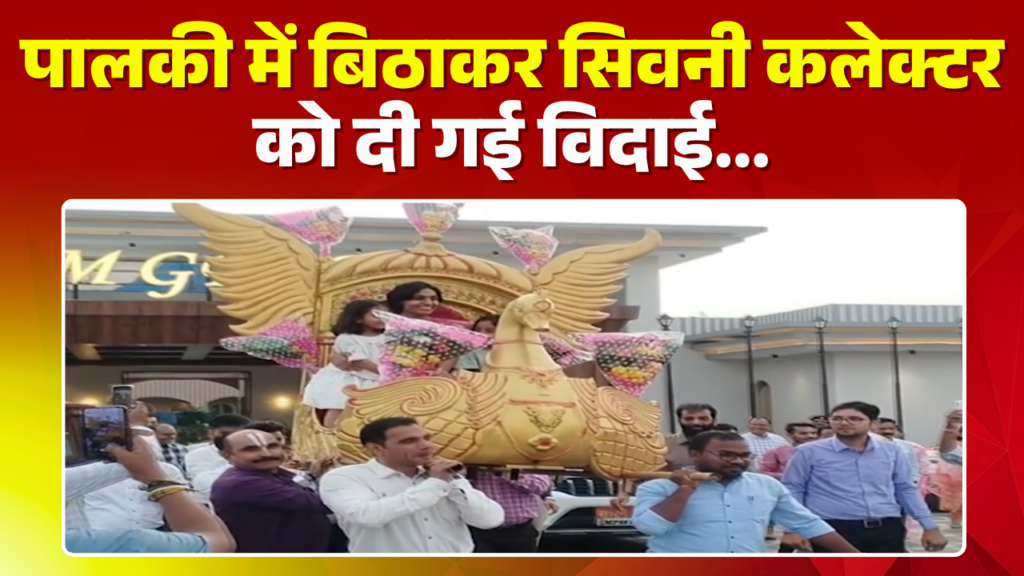 Seoni Collector Video