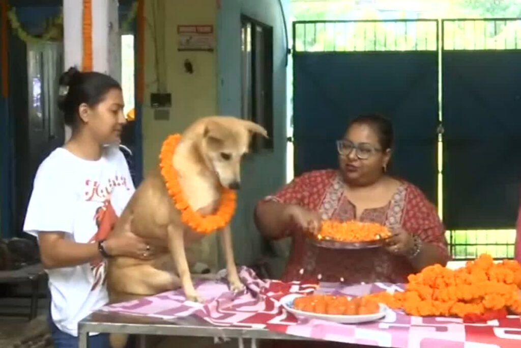 Siliguri Kukur Tihar