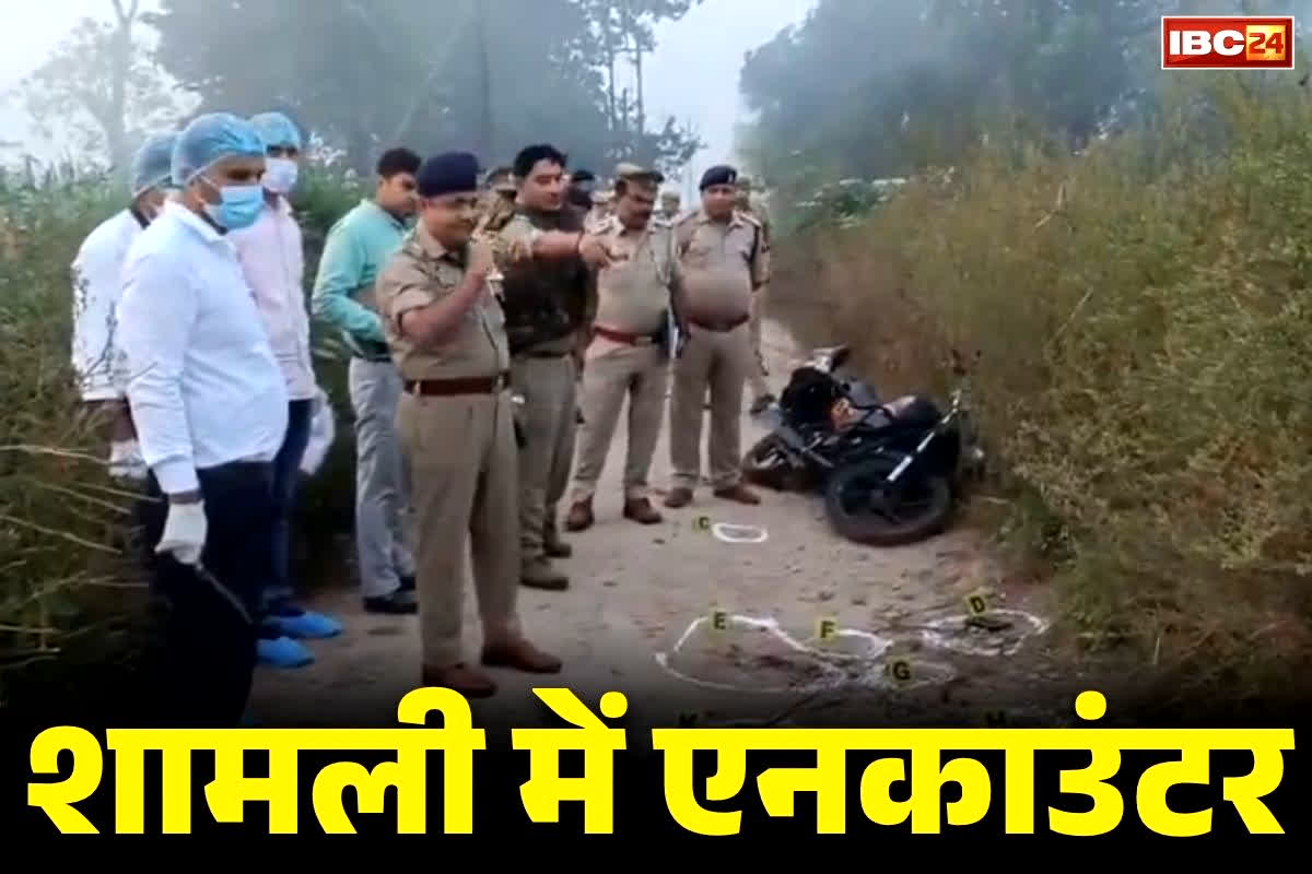 UP Shamli Encounter News: फिर एक एनकाउंटर.. पुलिस के साथ क्रॉस फायरिंग में मारा गया एक लाख रुपये का दुर्दांत इनामी बदमाश नफीस