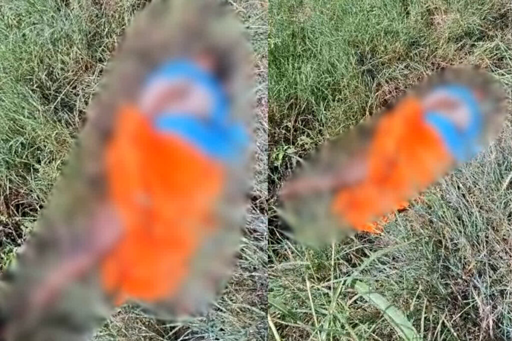 Ujjain woman murder case, Ujjain Sevarkhedi crime, Babbu Bai murder Ujjain, Ujjain loot and murder case, Ujjain drug addict crime, Ujjain Nana Kheda police case, Ujjain elderly woman killed, Ujjain silver anklet loot, Ujjain gold tops murder, Ujjain criminals arrested 2025, Ujjain SP Pradeep Sharma update, Ujjain murder charge sheet, Ujjain woman body found bushes, Madhya Pradesh rural crime, Ujjain jewelry robbery case, Ujjain News