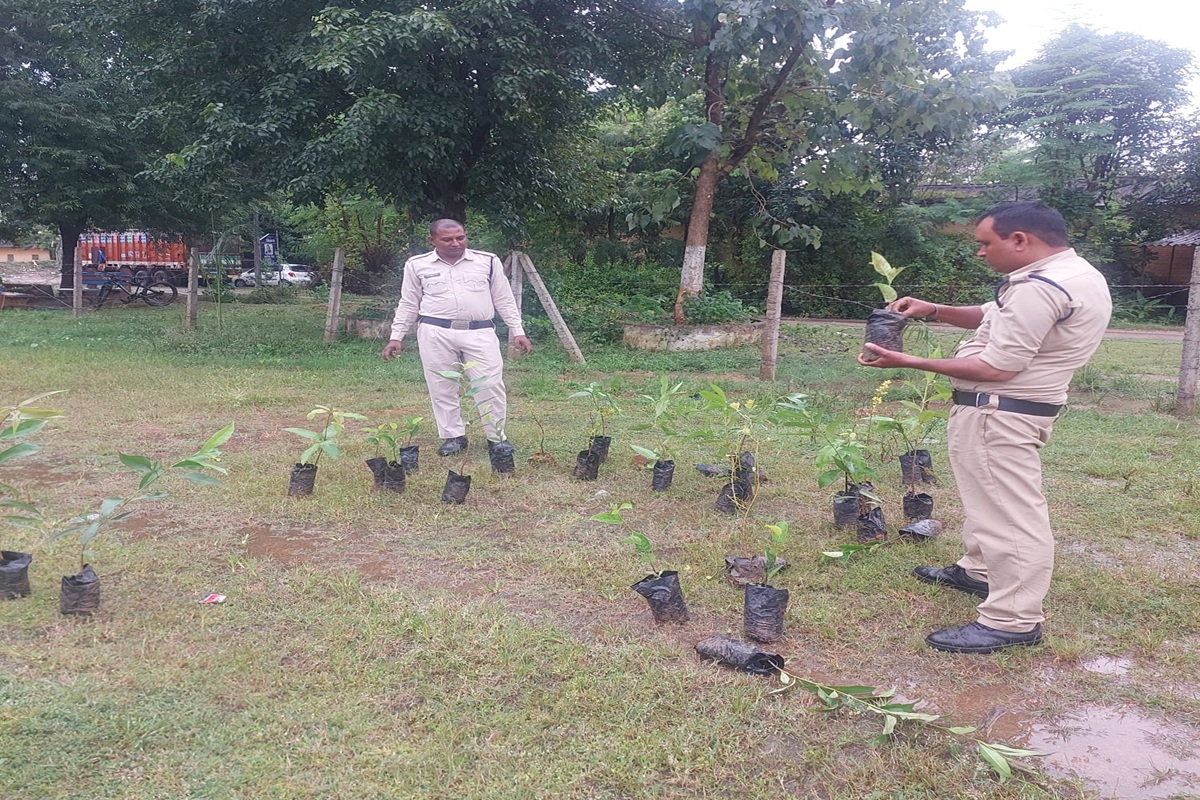 Korea News: ड्यूटी से गैरहाजिर कर्मचारियों को SP ने दी अनोखी सजा, पौधरोपण करने के काम में लगाया