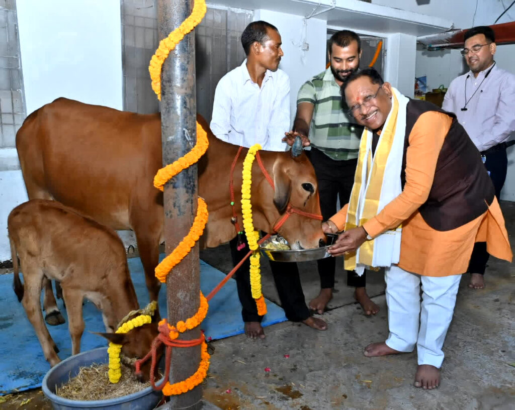 CM Sai Celebrates Govardhan Puja/ image source: IBC24