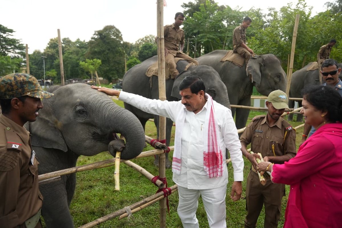 CM Dr Mohan Yadav Assam Visit: मुख्यमंत्री डॉ. मोहन यादव पहुंचें असम के काजीरंगा राष्ट्रीय उद्यान, दौरे पर बोले सीएम ‘ये हमारी सांस्कृतिक धरोहर हैं’