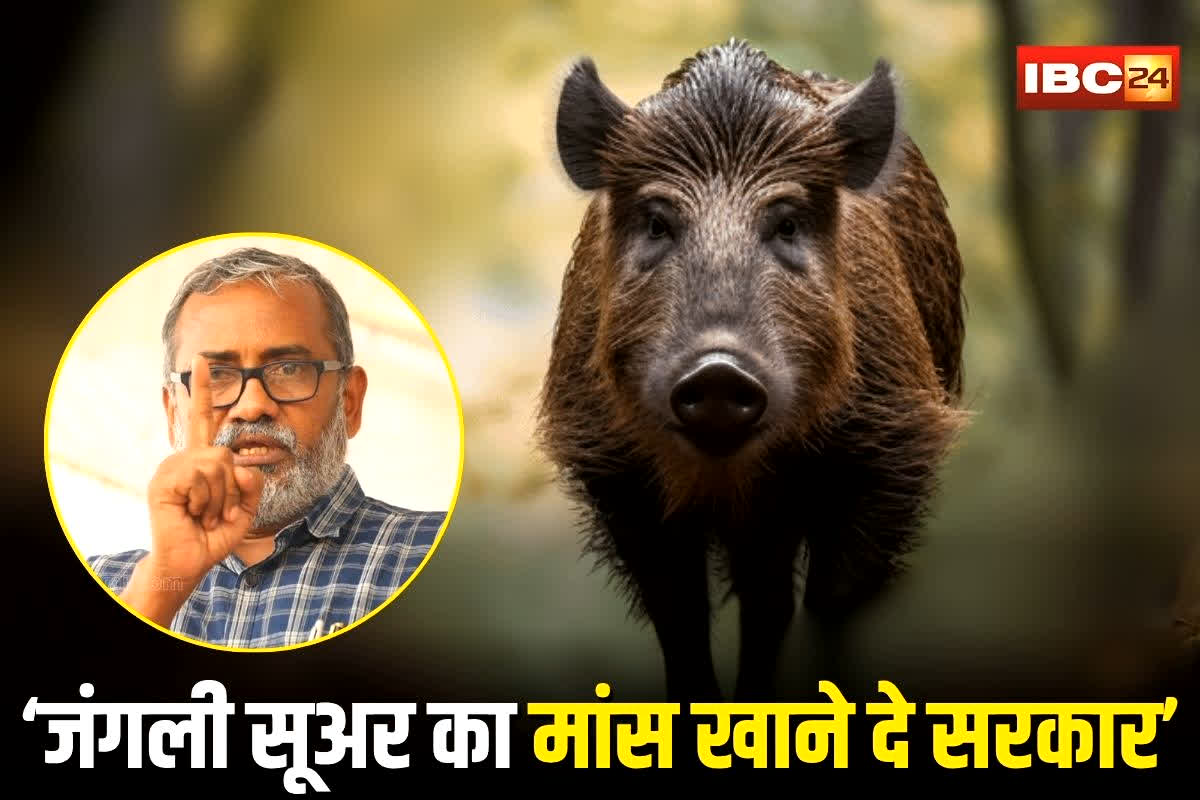 Wild Boar Issue Kerala: ‘जंगली सूअर का मांस खाने की इजाजत दे सरकार’, कृषि मंत्री ने किया केंद्र सरकार से चौंकाने वाला मांग, जिसे सुनकर आप भी सोच में पड़ जाएंगे