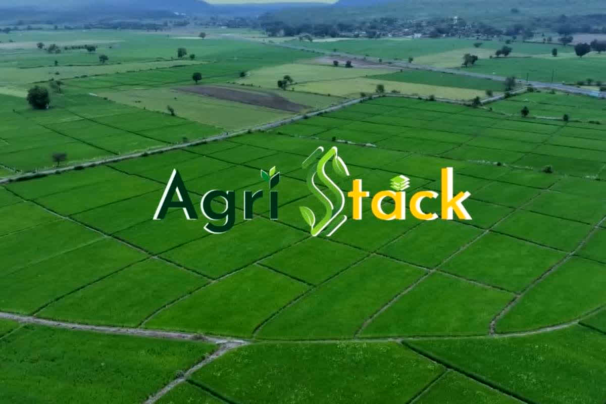 Dhan Kharidi Online Registration CG: समर्थन मूल्य पर धान बेचने के लिए छत्तीसगढ़ के किसानों को यहां करना होगा पंजीयन, नवंबर से शुरू होगी धान खरीदी