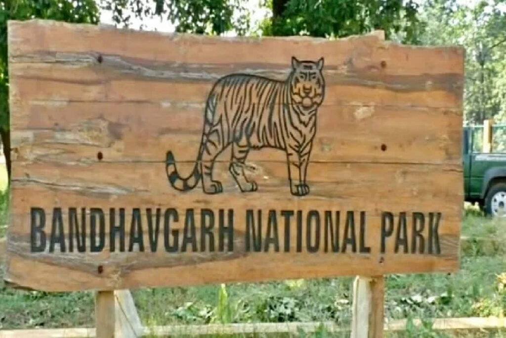 Bandhavgarh News