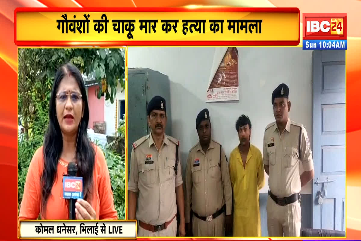Bhilai Crime News: गौवंश की हत्या करने वाला आरोपी गिरफ्तार, युवक ने किए थे चाक़ू से 50 से ज्यादा वार