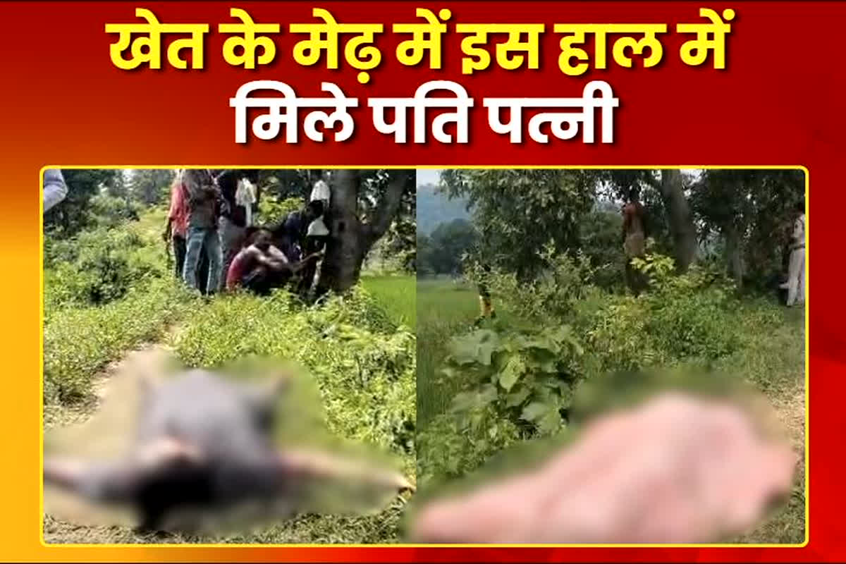 Bilaspur News: खेत के मेढ़ में इस हाल में मिले पति पत्नी, देखकर फटी रह गई ग्रामीणों की आंखें, मामला जानकर पुलिस के भी उड़े होश