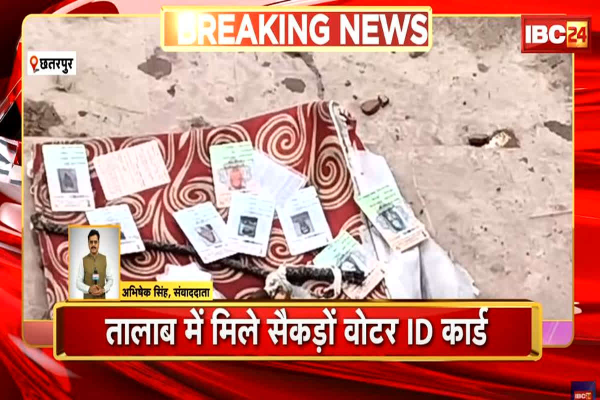 Chhatarpur News: तालाब से एक वार्ड के मिले सैकड़ों वोटर ID कार्ड, प्रशासन में मचा हड़कंप, अधिकारियों ने कही ये बात