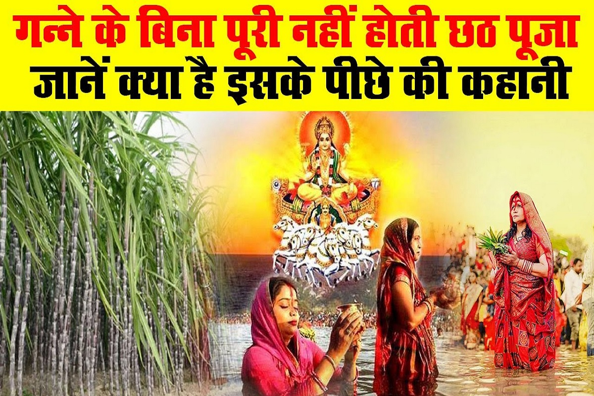 Chhath Puja: गन्ना क्यों है छठी मैय्या का प्रिय प्रसाद? जान लीजिये क्यों इस प्रसाद के बिना पूजा पूर्ण नहीं मानी जाती?