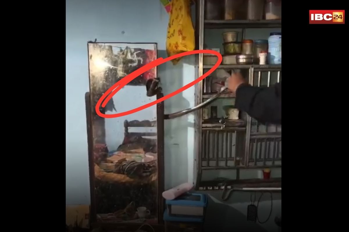 Seoni News: ड्रेसिंग टेबल के पीछे छिपा था मौत का साया…4 फीट लंबे कोबरा ने उड़ाए होश, फिर जो हुआ…आप भी देखिए वीडियो…