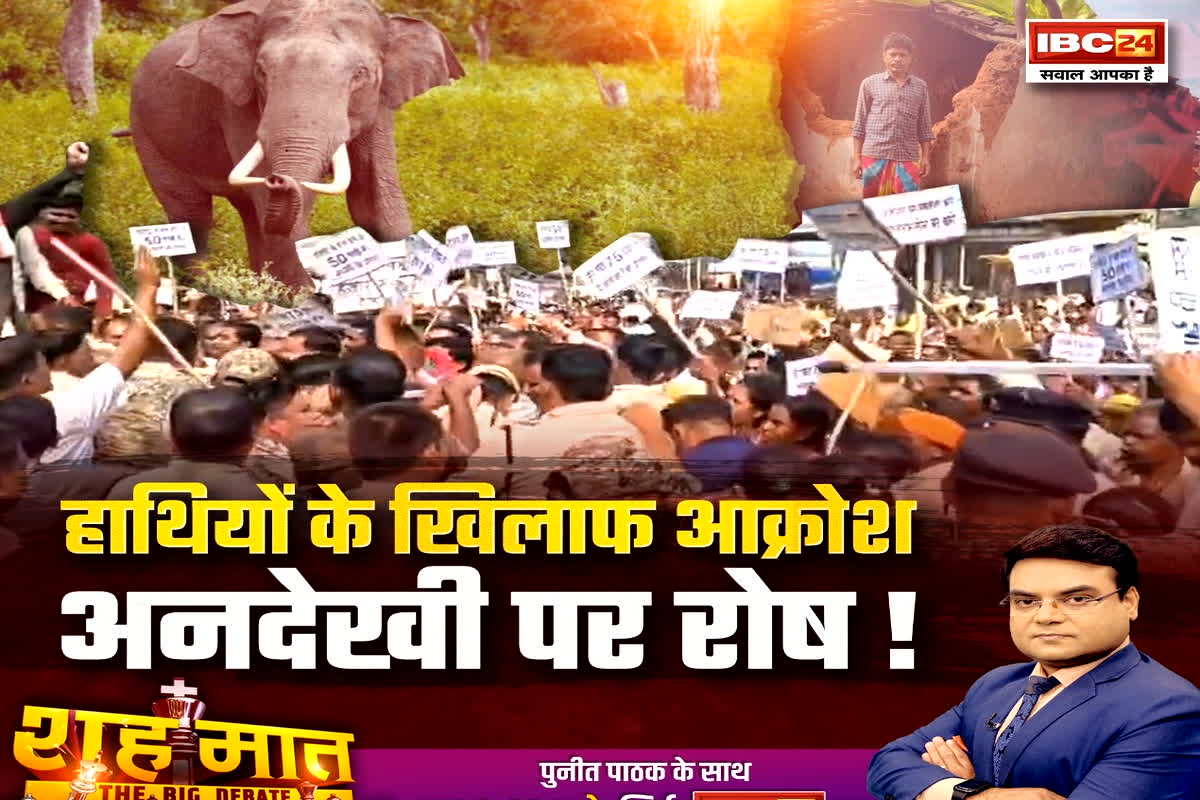 शह मात The Big Debate: हाथियों के खिलाफ आक्रोश..अनदेखी पर रोष! हाथियों से जान-माल की रक्षा में नाकामी क्यों? देखिए पूरी रिपोर्ट