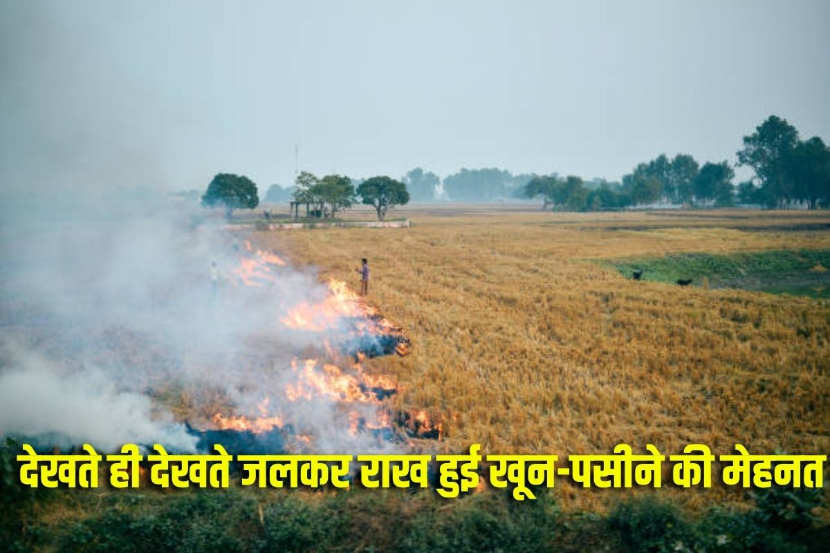 Sidhi News : देखते ही देखते जलकर राख हुई खून-पसीने की मेहनत, चंद मिनटों में हो गया ये बड़ा हादसा, खबर पढ़कर पसीज जाएगा आपका भी दिल