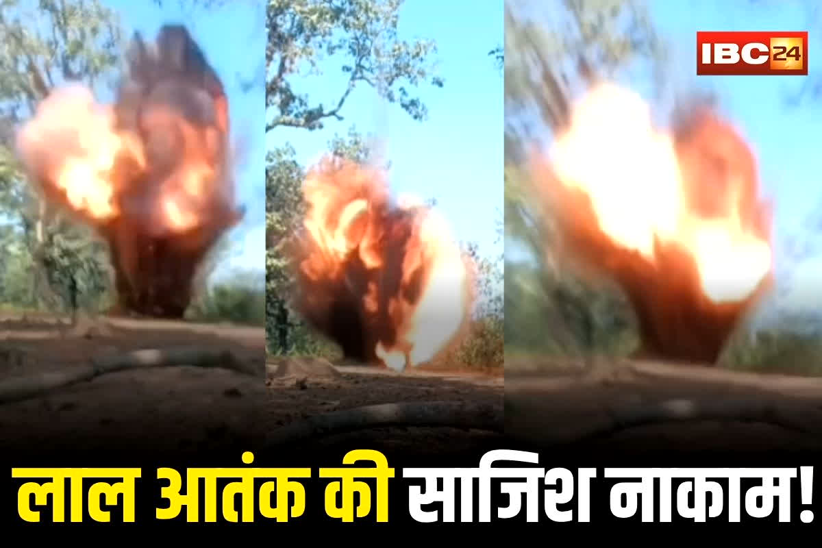 Bijapur Naxal News: लाल आतंक का घातक प्लान फेल! सड़क किनारे नक्सलियों ने बिछा कर रखे थे कमांड IED, लेकिन जवानों ने ऐसे नाकाम किया साजिश, देखें वीडियो