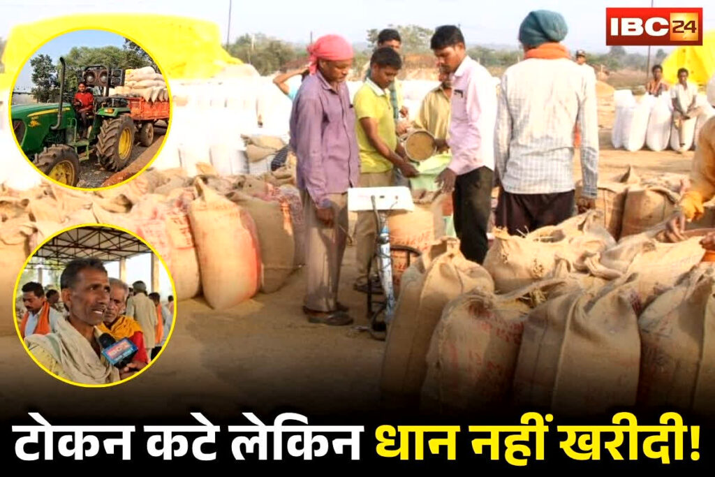 CG Dhan Kharidi News