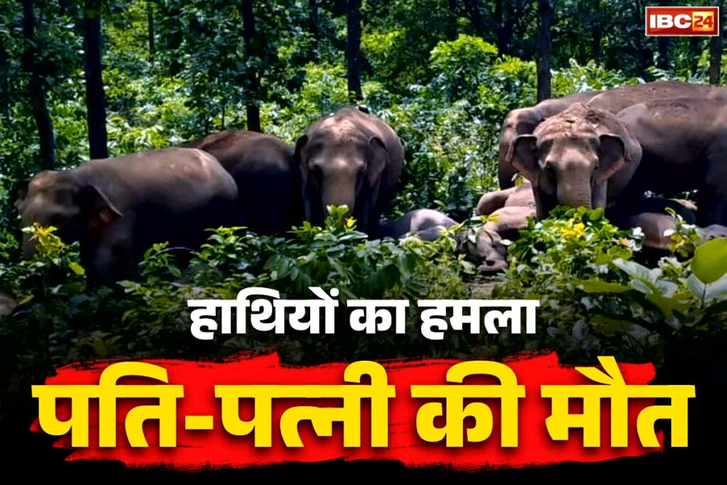 Chhattisgarh Hathi Attack News