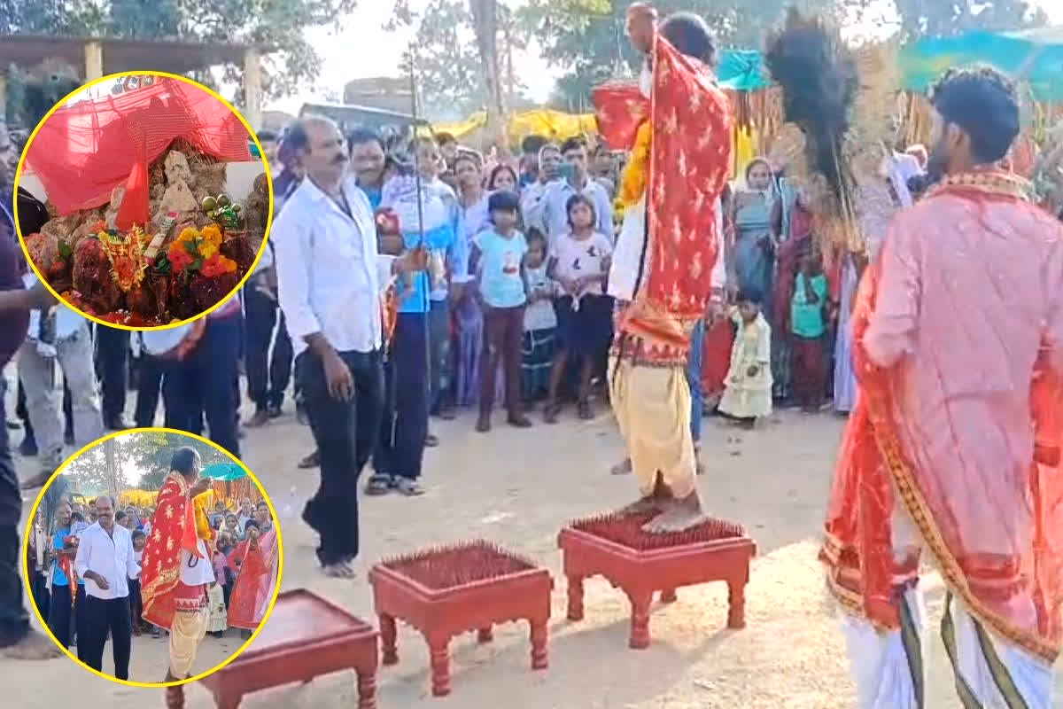 Chhindwara News: 15 दिन तक भूत-प्रेतों का लगता है मेला, मुक्ति पाने के लिए खींचे चले आते हैं…. रैय्यत बाबा के पेड़ पर अनोखा रीति-रिवाज