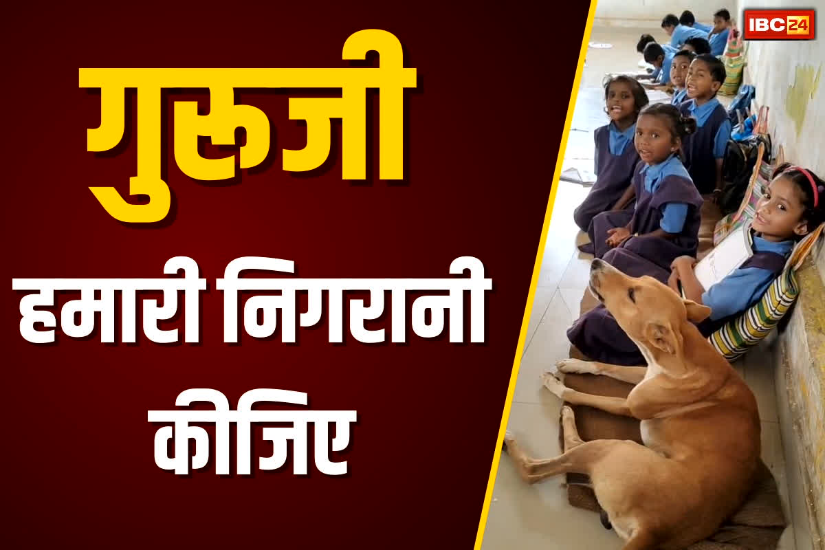Dog Study in School: गुरुजी हमारी निगरानी कीजिए…! सरकारी आदेश जारी होने के बाद खुद कुत्ता पहुंच गया स्कूल, सबसे आगे बैठकर करने लगा पढ़ाई! यकीन ना हो तो खुद देखें वीडियो