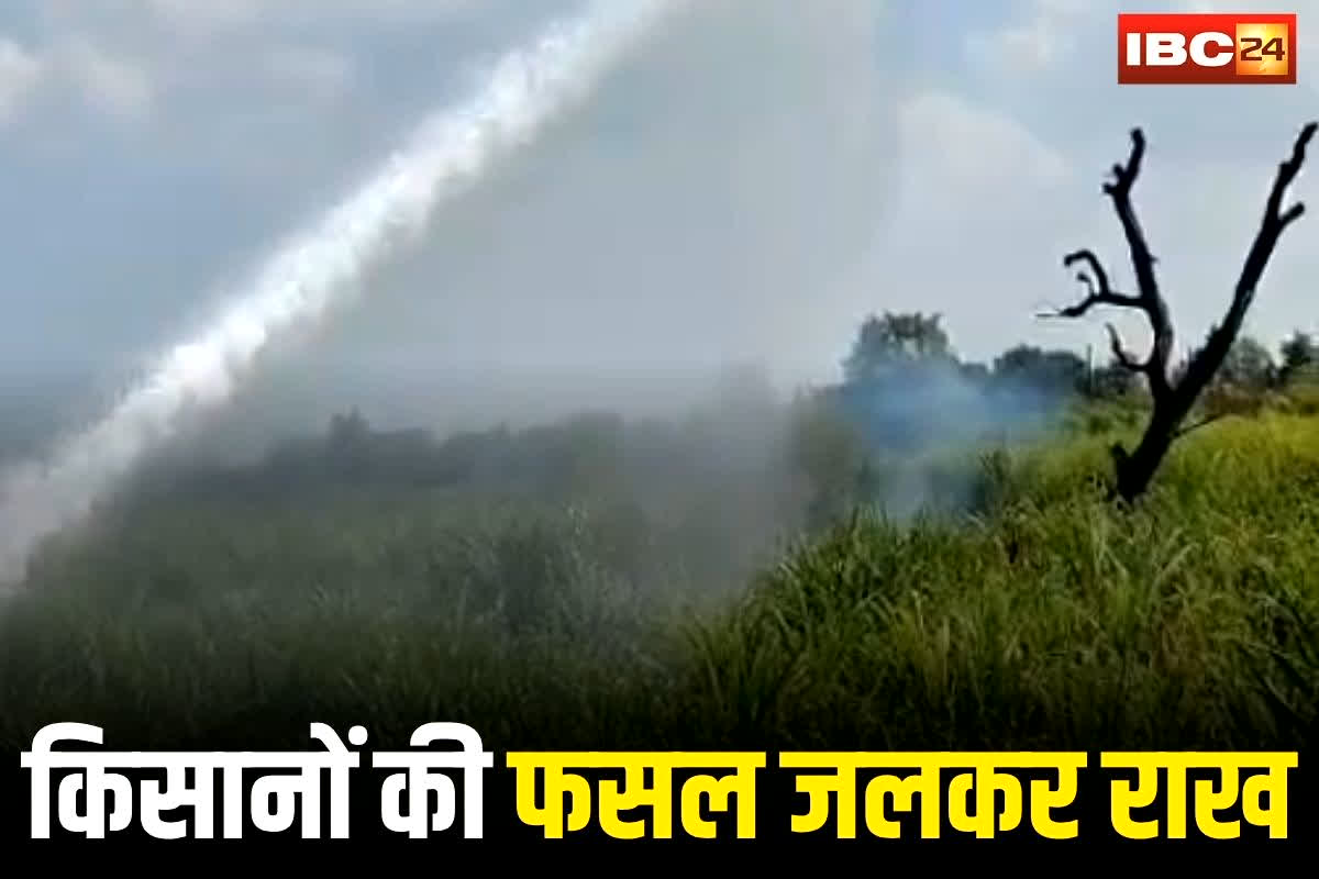 Kawardha Fire News: कवर्धा में किसानों की फसल जलकर राख, 3 एकड़ खेत में लगी भीषण आग, मची अफरा-तफरी, देखें वीडियो