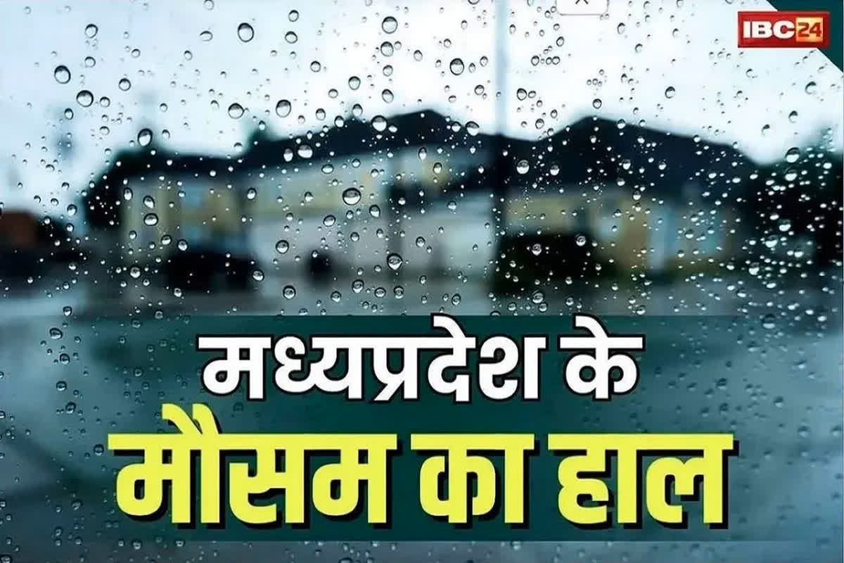 MP Weather Update Report: प्रदेश में बारिश के साथ गिरेगा तापमान.. अगले दो दिनों तक बरसेंगे बादल, देखें कैसा रहेगा आपके इलाके में मौसम
