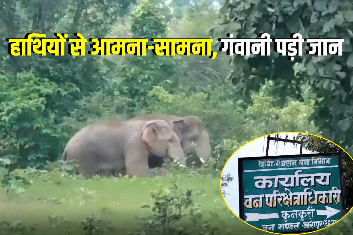Jashpur News : चेतावनी के बाद भी नहीं माना शख्स, खेत जाते वक्त हो गया हाथियों से आमना-सामना, गंवानी पड़ी जान