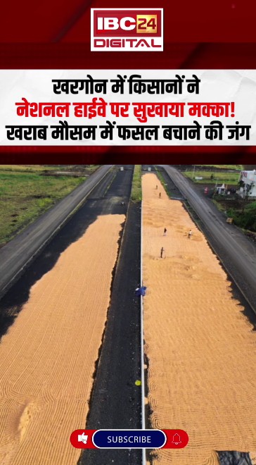 Khargone में किसानों ने National Highway पर सुखाया मक्का!