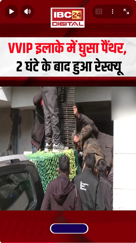 VVIP इलाके में घुसा पैंथर, 2 घंटे के बाद हुआ रेस्क्यू | Rajasthan Panther Rescue | Viral Video