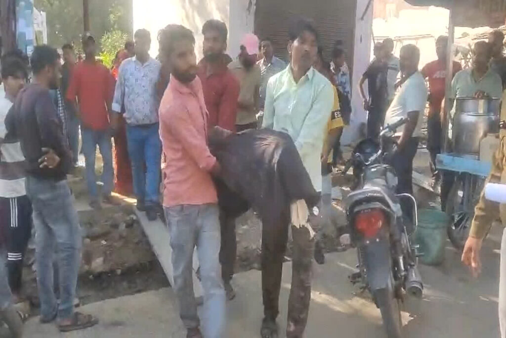 Sheopur News/Image Credit: IBC24