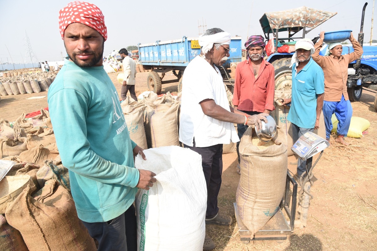 CG Dhan Kharidi News: छत्तीसगढ़ में समर्थन मूल्य पर धान खरीदी जारी, सहकारी कर्मचारियों के हड़ताल का असर नहीं, देखें प्रतिदिन किस जिले में कितना खरीदा जा रहा धान