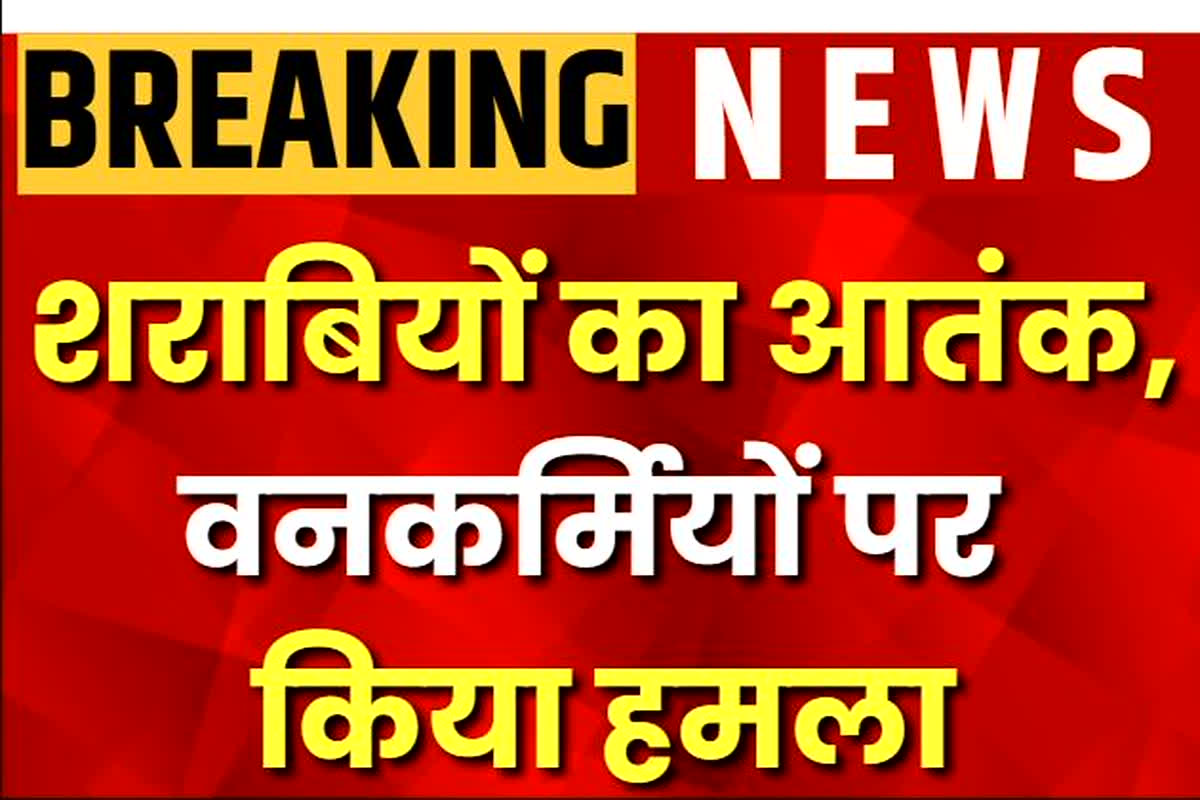 Balrampur News: जंगल में बैठक कर ऐसा काम कर रहे थे तीन युवक, मौके पर पहुंचे वनकर्मियों का कर दिया ये हाल, हालत देखकर पुलिस भी रह गई दंग