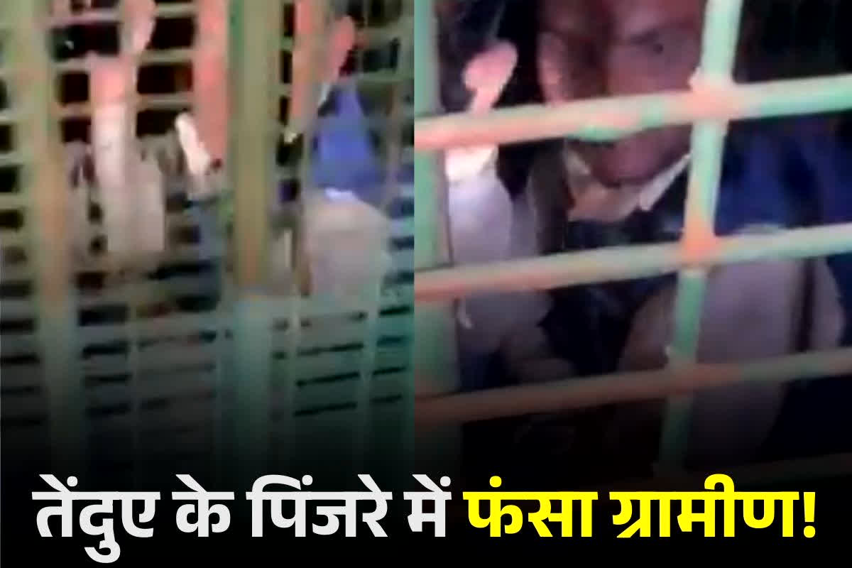 Bahraich News: खौफ के बीच हो गई कॉमेडी! ग्रामीण जिसे समझे खूंखार जानवर, वो निकला गांव का ही नशेड़ी, इस लालच में हुआ था पिंजरे में कैद