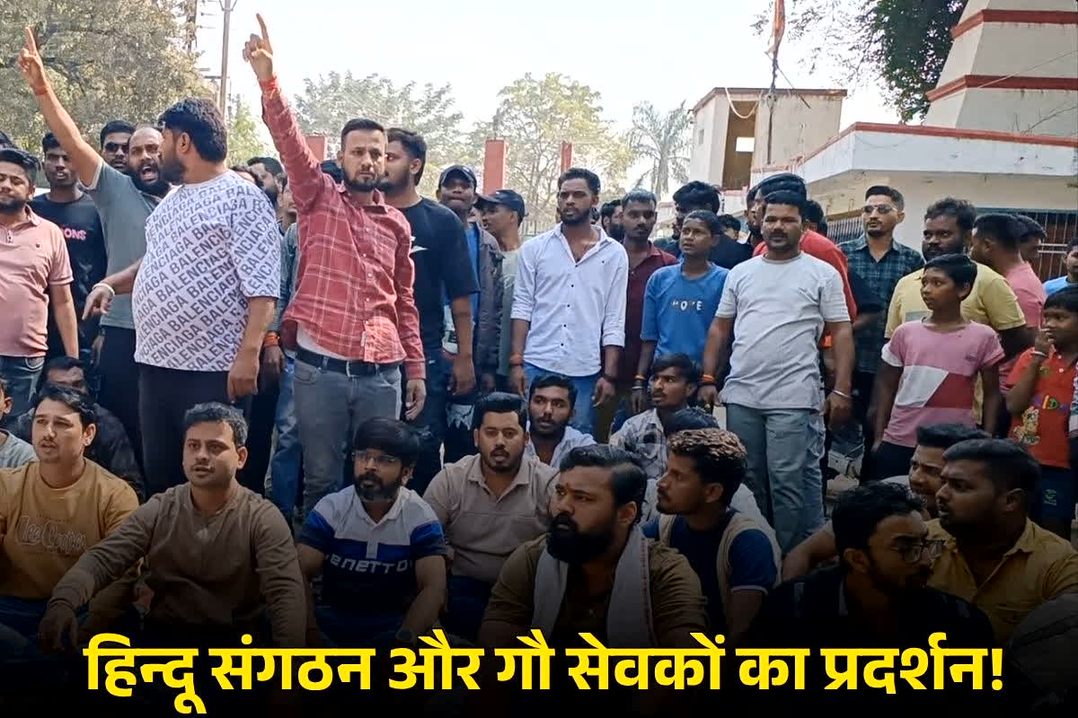 Bhatapara Thana Gherav: बाजार बंद! शहर में गौ रक्षकों का उग्र प्रदर्शन, गाय के बछड़े को हलाल करने वालों पर कार्रवाई की मांग को लेकर भड़का विवाद