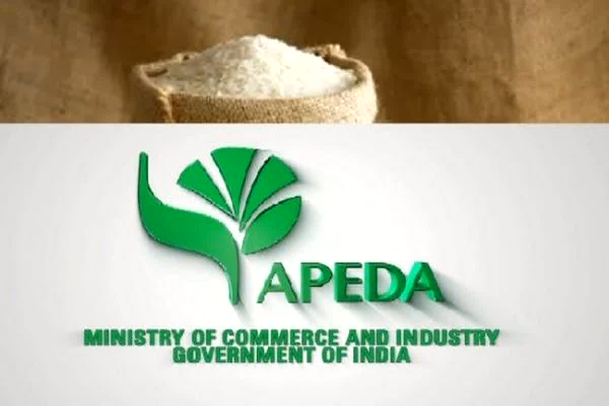 CG Rice Export: छत्तीसगढ़ से फोर्टिफाइड चावल की पहली खेप पहुंची पापुआ न्यू गिनी, प्रदेश की वैश्विक पहचान को मिला नया आयाम