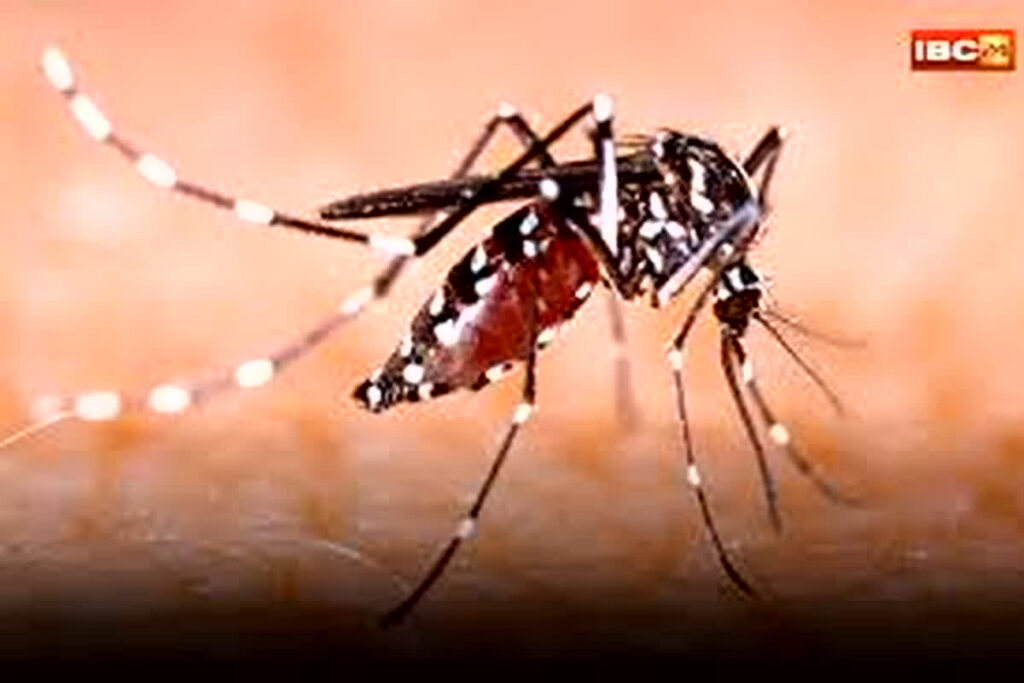 Gwalior News/Image Credit: IBC24 File Photo