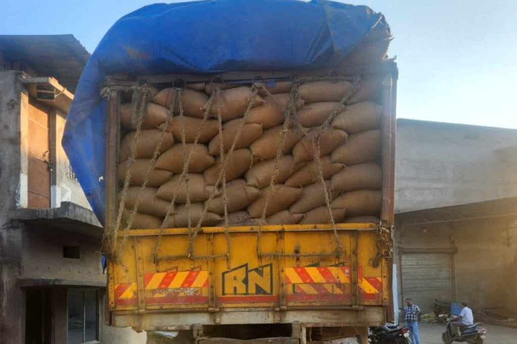 Illegal Paddy in Chhattisgarh: छत्तीसगढ़ में 5 करोड़ से अधिक का अवैध धान जब्त, समर्थन मूल्य पर खपाने की थी तैयारी / Image: CG DPR