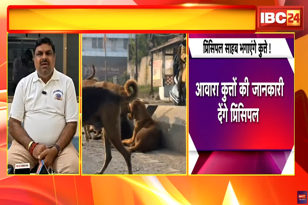 Raipur News: छत्तीसगढ़ में आवारा कुत्तों की जानकारी देंगे स्कूलों के प्राचार्य, स्कूल शिक्षा मंत्री ने बताई वजह, ऐसे काम पर नेता प्रतिपक्ष ने उठाए सवाल