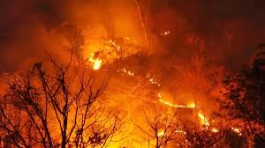 Delhi Fire News: अचानक उठा धुएं का गुबार, फिर फैली लपटों की दहशत, टिकरी कलां के गोदाम में लगी आग ने मचाई तबाही…