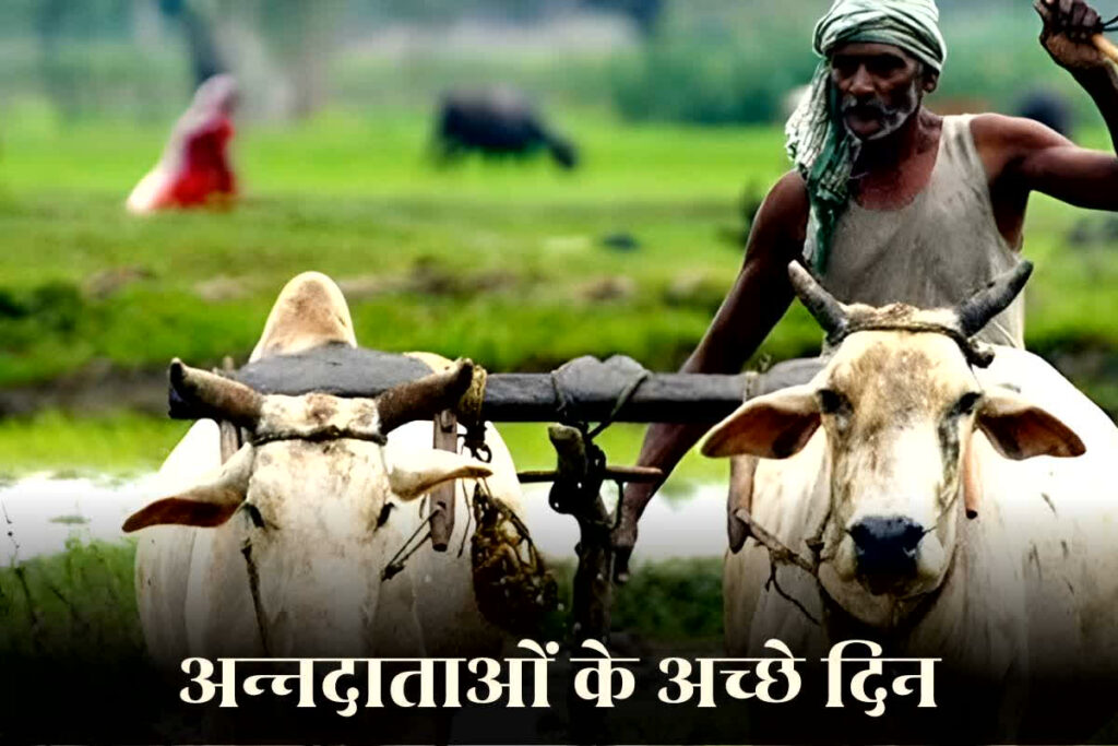 Good News for Farmers Today: इस बार 3300 रुपए की दर से होगी खरीदी, किसानों के आ गए अच्छे दिन / Image: file