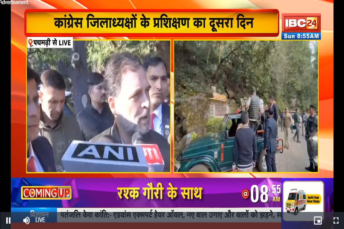 Rahul Gandhi Jungle Safari: रातों-रात तय हुआ सफारी का कार्यक्रम, सुबह जानवरों को देखने निकले राहुल गांधी, पटवारी और सिंघार भी मौजूद…