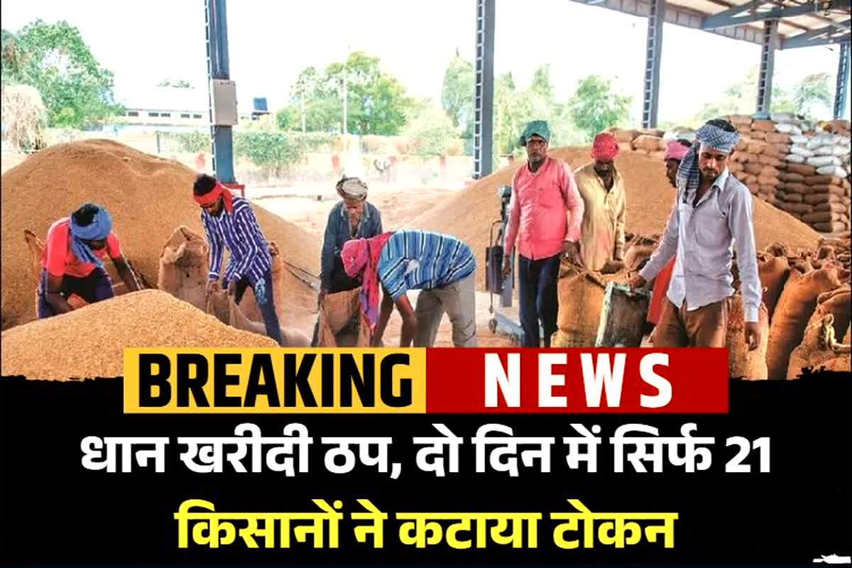 Dhan Kharidi Latest News: इस जिले के 105 धान खरीदी केंद्रों में सन्नाटा, दो दिन में महज इतने किसानों ने कटाया टोकन, जानें क्या है कारण