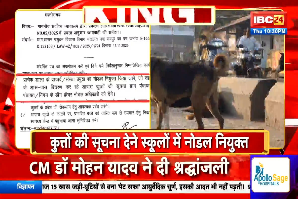 CG Teacher News: अब आवारा कुत्तों पर नजर रखेंगे स्कूल के प्रिंसिपल, डीपीआई ने DEO को जारी किया आदेश